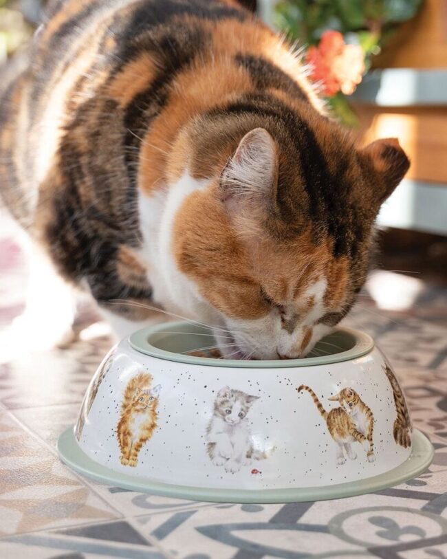 Wrendale designs by Hannah dale – bakje voor kattenvoer