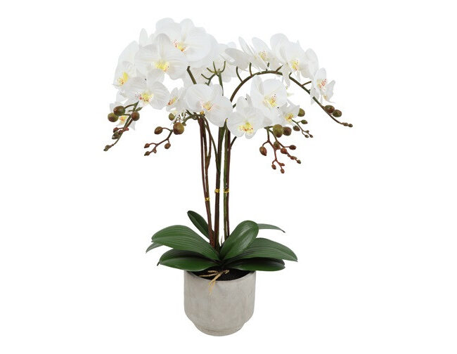 Countryfield Kunststofplant Orchidee/Phalaenopsis – xl - Wit – L15xB38xH66 cm
