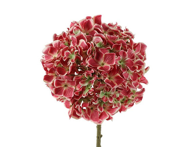 countryfield - Kunstbloem Hydrangea - fuchsia – kunststof/zijde - L68 x B15 x H15 cm