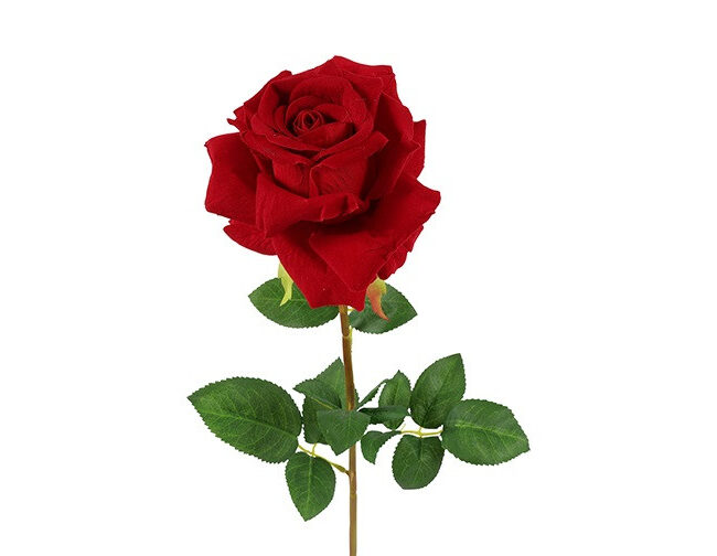 countryfield - Kunstbloem Rosa Florentina Velvet rood - L8 × B8 × H72 cm