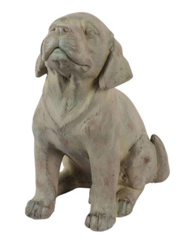 decoratief beeld - Countryfield - Hond zittend Hardey - Grijsbruin - polystone -  H 32 cm