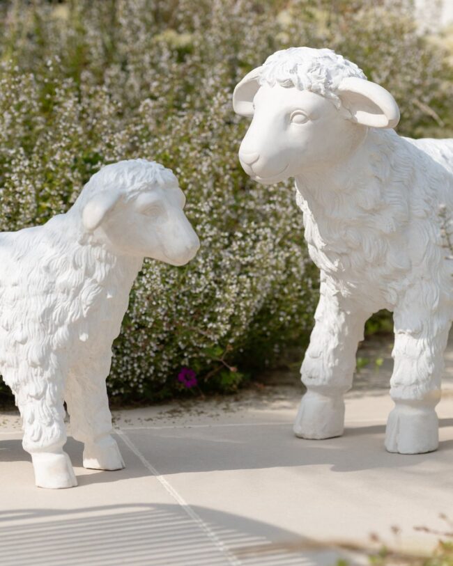 decoratief beeld - 🐑 Schaap - j-line - kunsthars - Wit/Grijs - groot - 70 × 29 × 53 cm - enkel afhalen/geen verzending