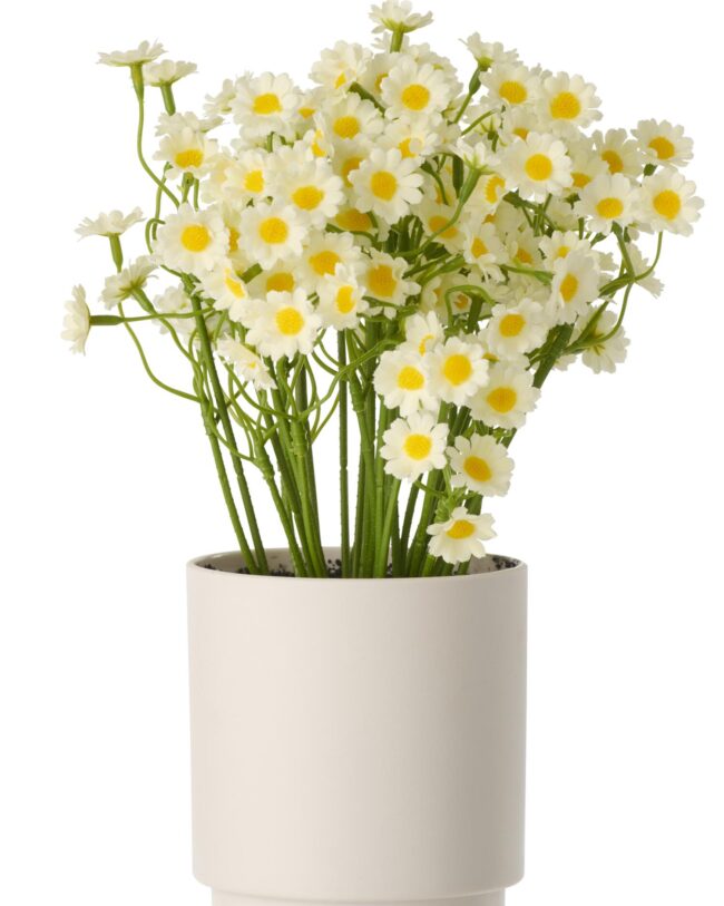 kunstbloem in pot - j-line - Madeliefje - Kunststof – Wit/Geel 🤍💛 - Ø 15 x H 21 cm