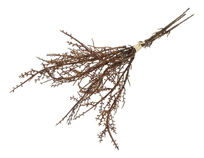 Kunstboeket - countryfield - Betula 3 stuksx - Bruin - kunststof - L42 × B15 × H5 cm