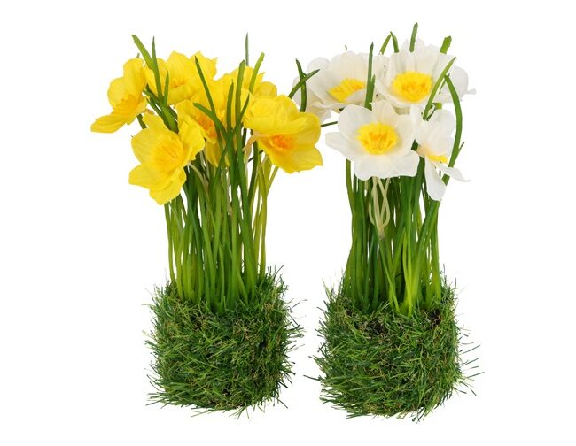 Kunstbloem op voet - countryfield - Narcissus (Assortiment van 2/prijs per stuk) - Meerkleurig - kunststof/kunstzijde - L22 × B13 × H16 cm