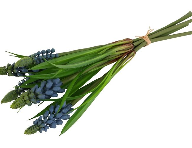 Kunstboeket - countryfield - Muscari - Blauw - kunststof - L26 × B6 × H16 cm