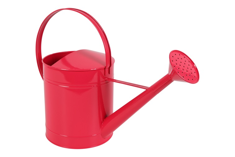 Gieter - countryfield - Donkerroze - metaal - L45 × B18,5 × H32,5 cm