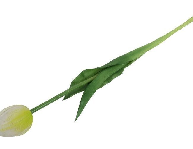 Kunstbloem - countryfield - Tulp Tulipa - kunststof - wit - 7 × 7 × 43 cm