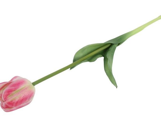 kunstbloem - countryfield - Tulp tulipa 3D - kunststof/kunstzijde - roze/wit - 5 x 5 x 36 cm