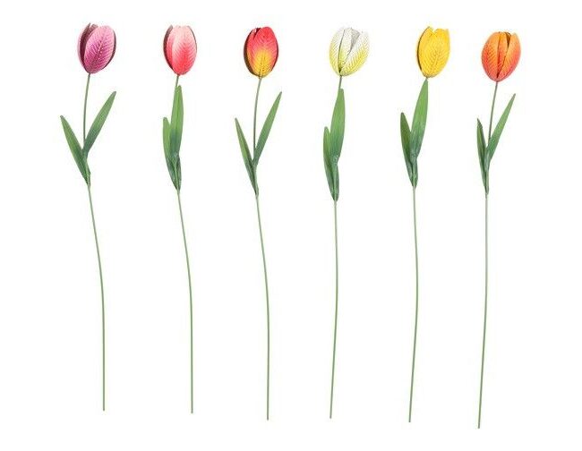 🌷 Tuinsteker Tulipa - countryfield - metaal - Veelkleurig - klein - 10 × 6 × 60 cm - assortiment van 6/prijs per stuk