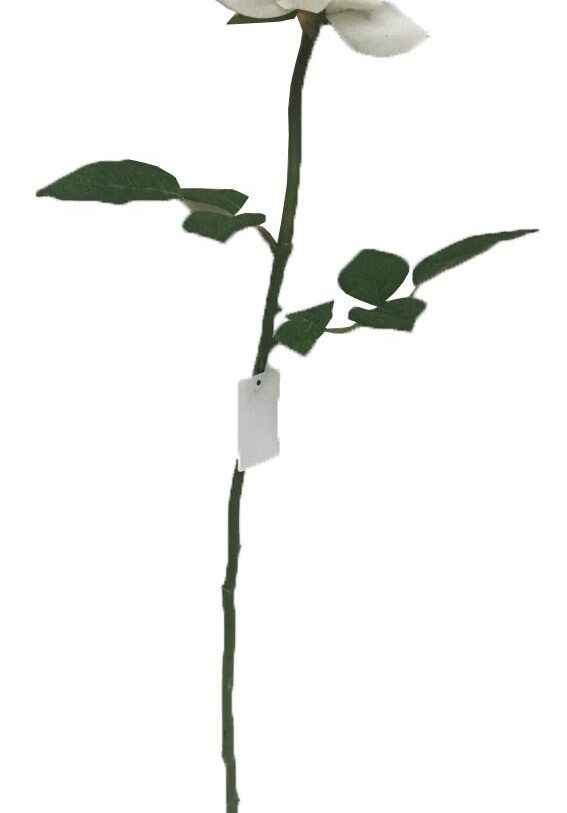 Kunstbloem Roos - mondeco - wit - Kunstzijde / Kunststof - H 57,5 cm