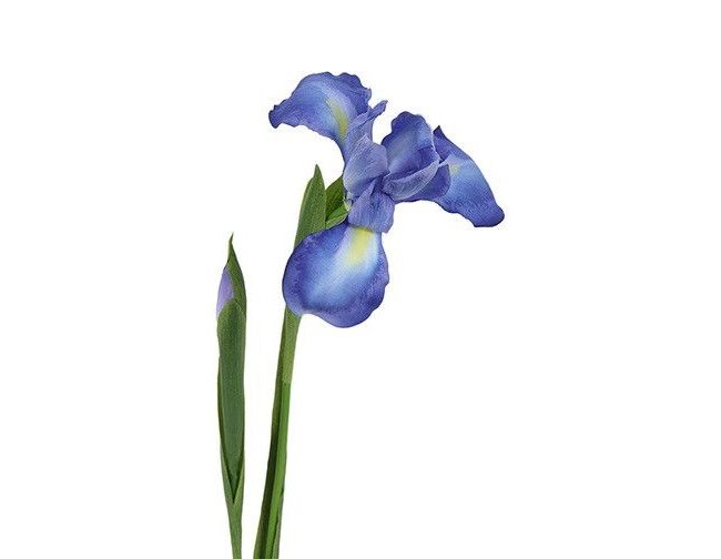 kunstbloem - countryfield - Iris - kunststof/kunstzijde - Syberica Blauw - 9 x 12 x 76 cm