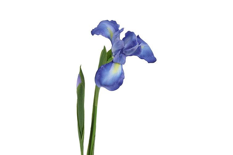 kunstbloem - countryfield - Iris - kunststof/kunstzijde - Syberica Blauw - 9 x 12 x 76 cm