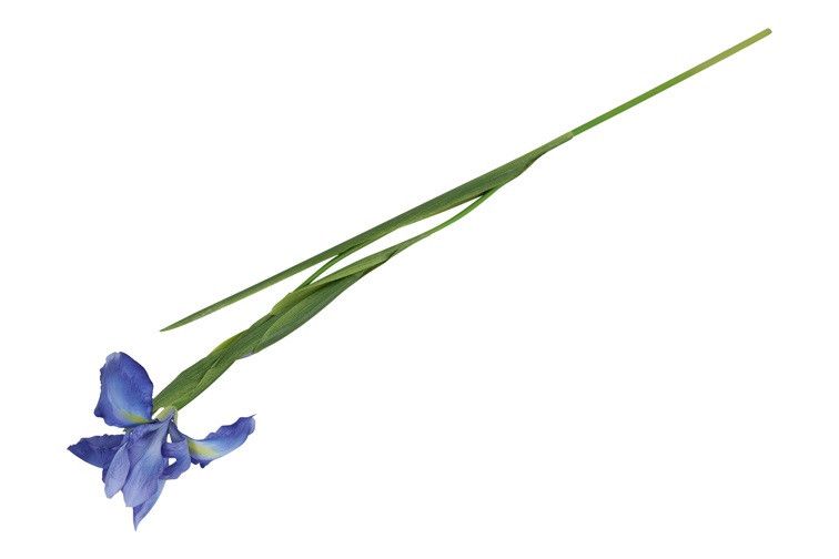 kunstbloem - countryfield - Iris - kunststof/kunstzijde - Syberica Blauw - 9 x 12 x 76 cm - Afbeelding 2