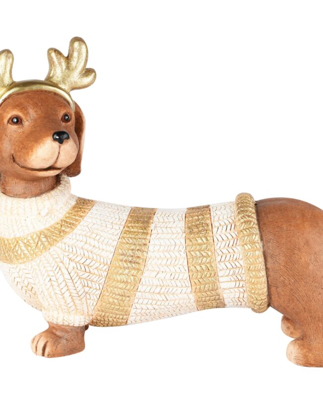 decoratief beeld - teckel met sweater - kunsthars - goud/wit/bruin - 43 x 17 x 33 cm geen verzending, afhalen vanaf september