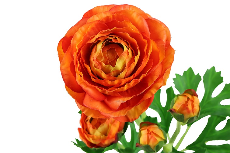 Kunstbloem - countryfield - Ranunculus elegance - Kunststof/kunstzijde - Oranje – 12 x 12 x 52 CM - Afbeelding 2