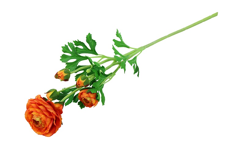 Kunstbloem - countryfield - Ranunculus elegance - Kunststof/kunstzijde - Oranje – 12 x 12 x 52 CM - Afbeelding 3