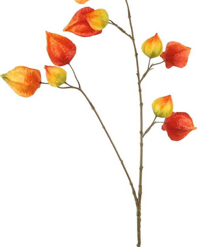 Kunstbloem Physalis - Countryfield - kunststof/kunstzijde - oranje - 12 x 12 x 100 cm