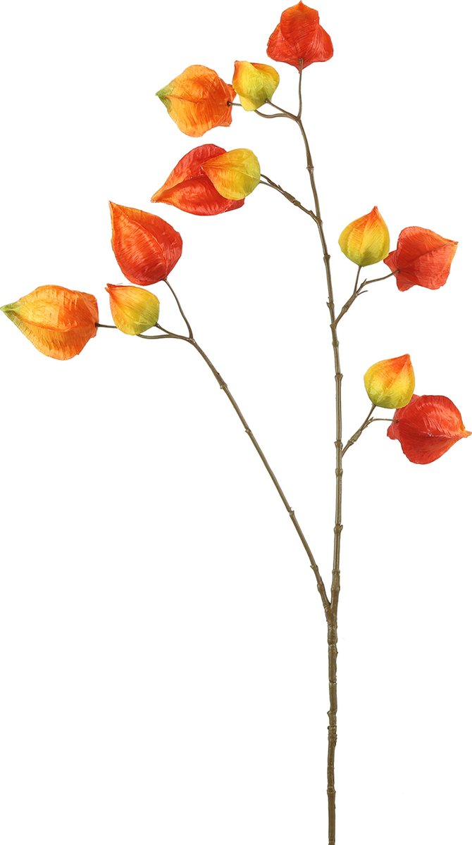Kunstbloem Physalis - Countryfield - kunststof/kunstzijde - oranje - 12 x 12 x 100 cm