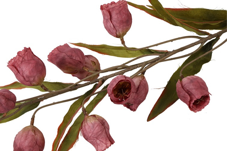 Kunstbloem Sandersonia miranda – Countryfield - kunststof/kunstzijde - Bordeaux - 15 x 15 x 99 cm - Afbeelding 2