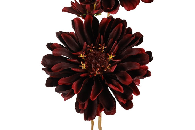 Kunstbloem Zinnia – Countryfield - kunststof/kunstzijde - Bordeaux - 18 x 10 x 89 cm - Afbeelding 2